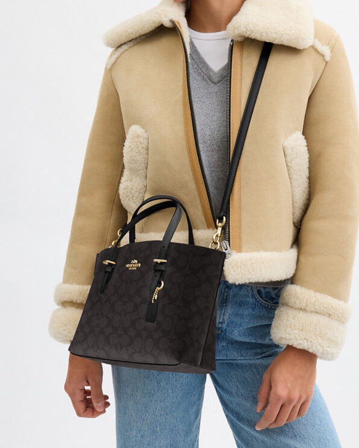 Coach Mollie 25 in Signature Canvas